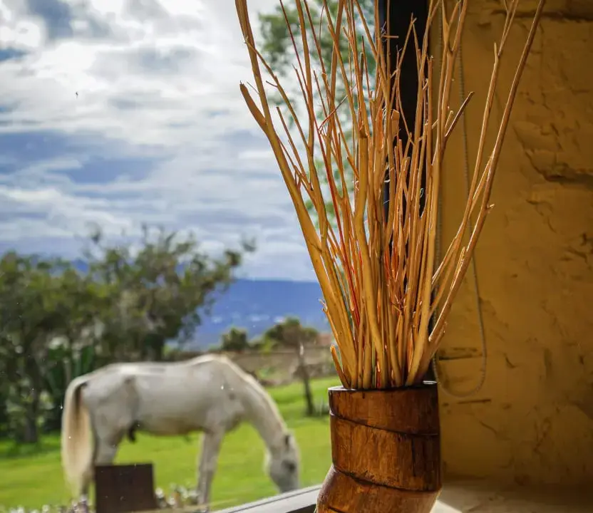 cabana-molino-la-mesopotamia-villa-de-leyva-fincas-de-la-villa-19